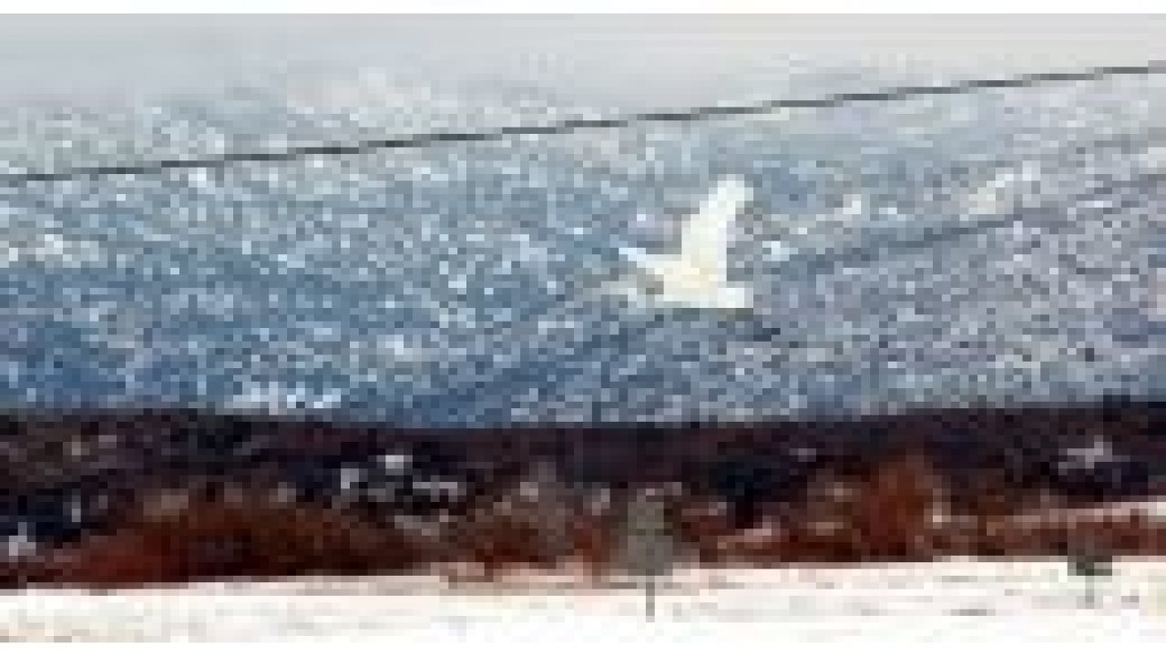 Beyşehir'den kış manzaraları