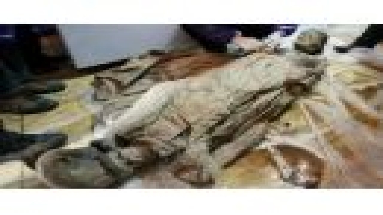 700 yıllık hanedan mumyası bulundu