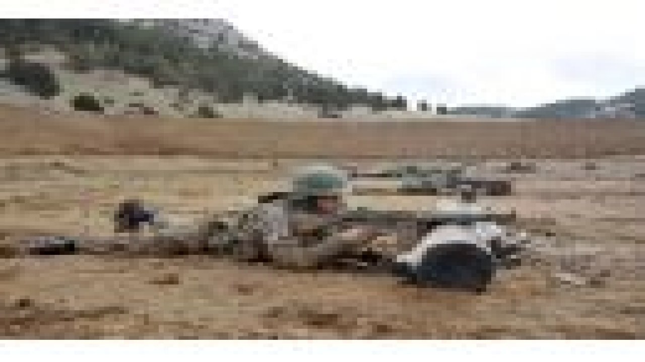 Rakamlarla Türk ve Suriye ordusu
