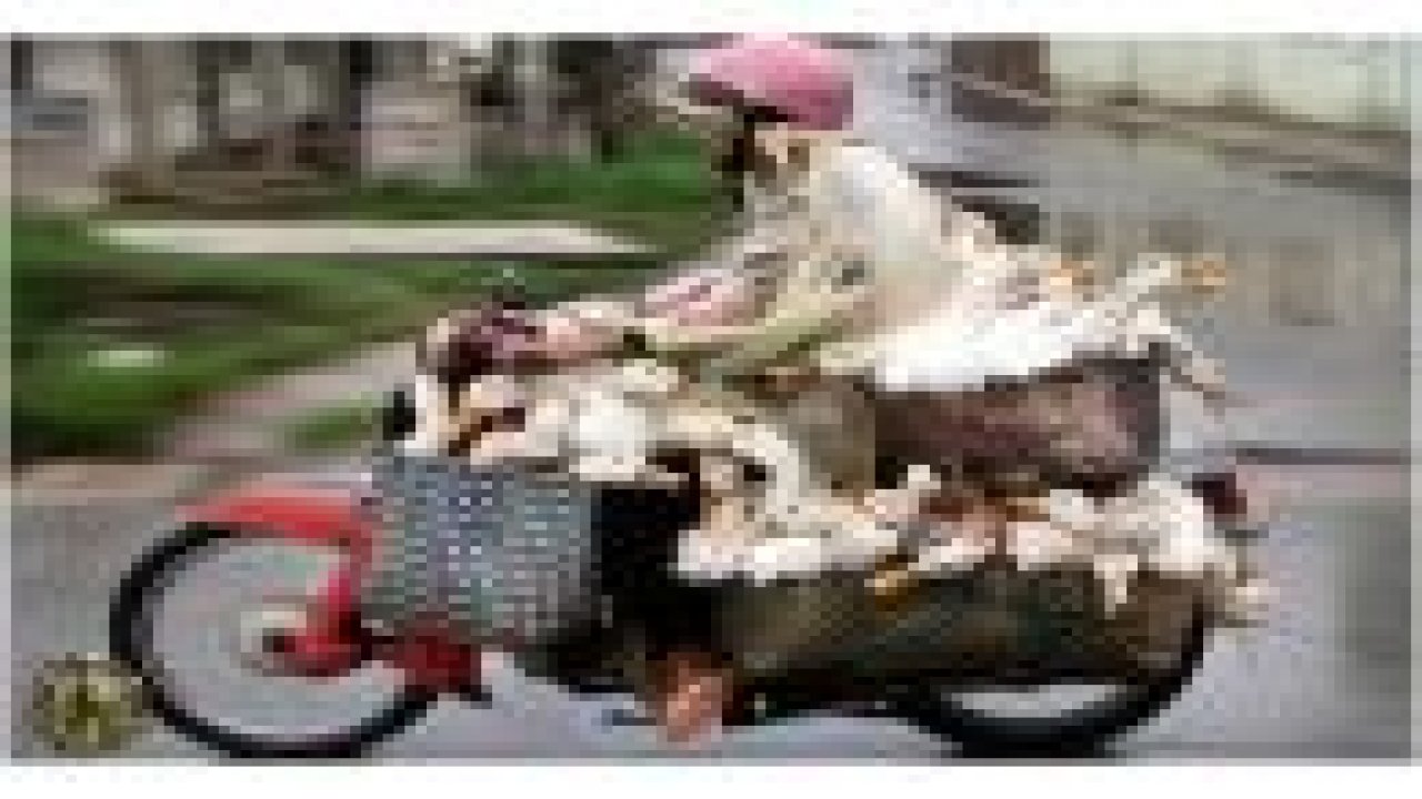 Gülmekten kendinizi alama- yacaksınız!