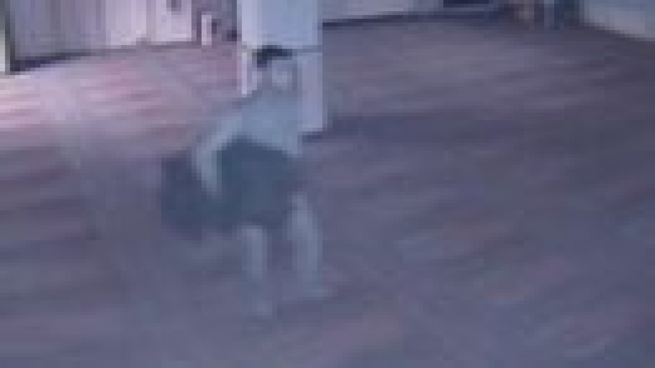 Namaz kılar gibi yapıp camiden kilim çaldı