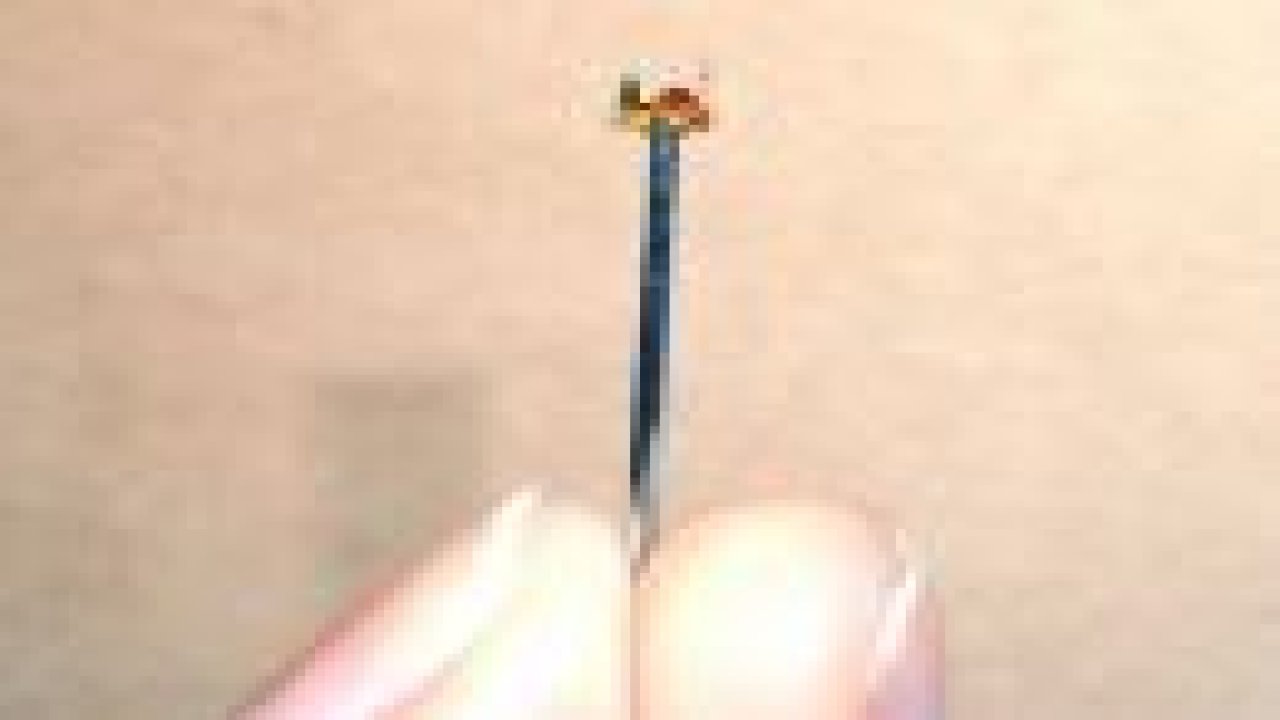 Mevlana Müzesi'ni toplu iğnenin başına sığdırdı