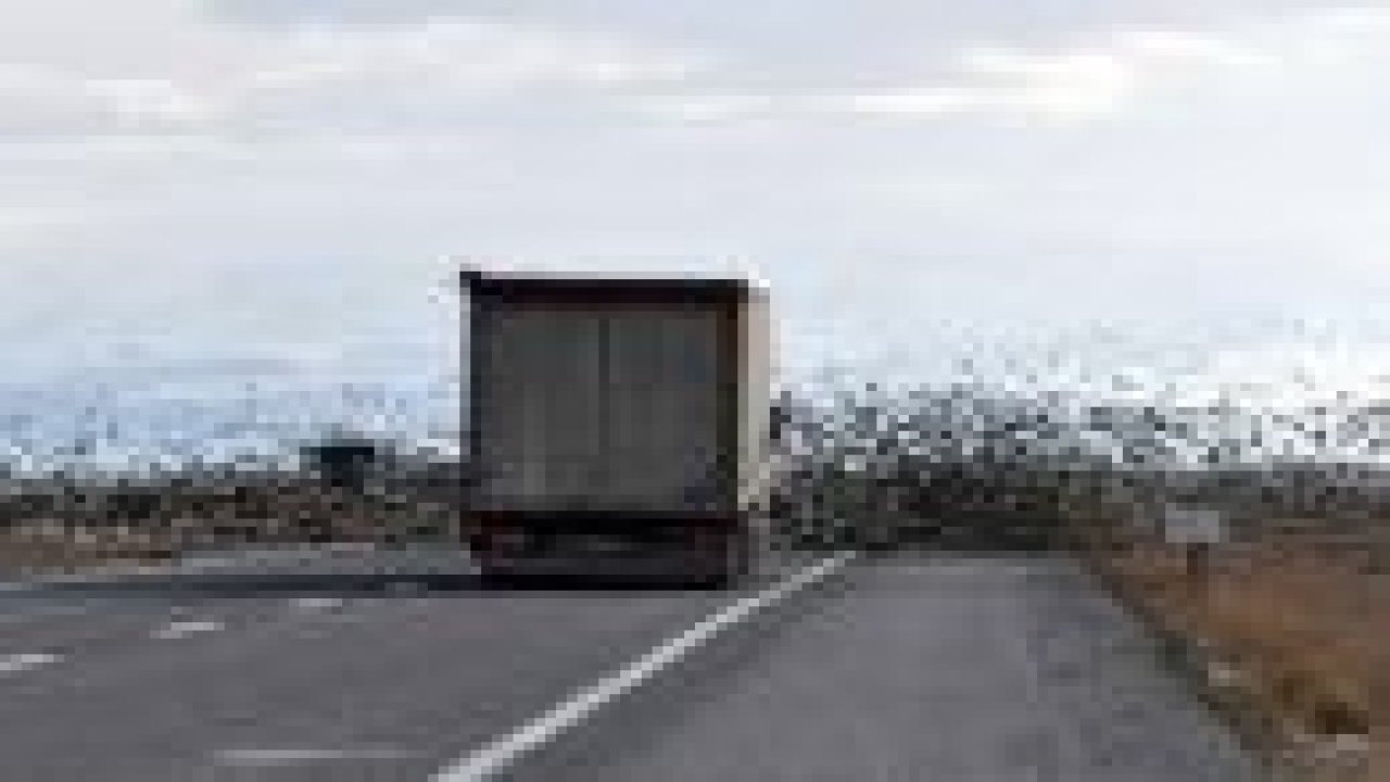 Sıgırcıkların tehlikeli yolculuğu