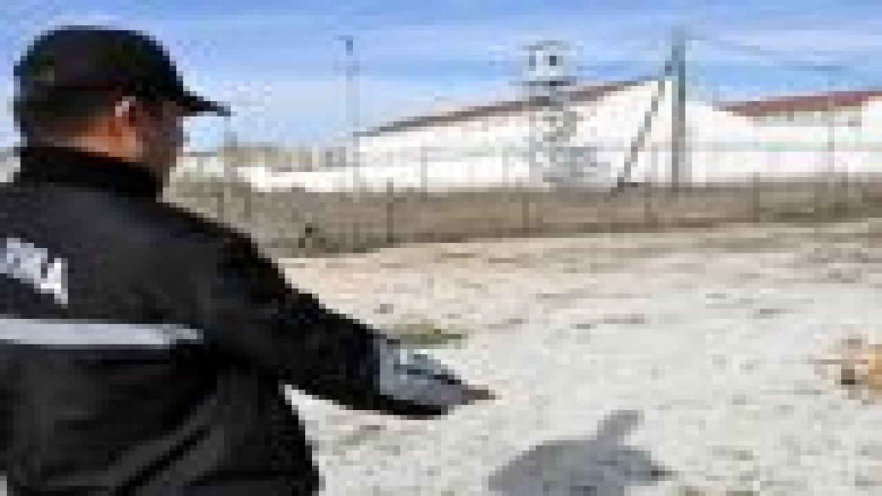 Bu köpekler suçlulara göz açtırmıyor