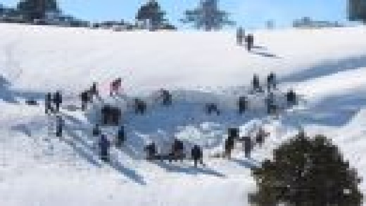 Kışın depolayıp yazın kar yiyorlar