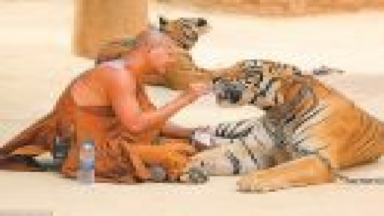 İşte gerçek pi'nin yaşamı