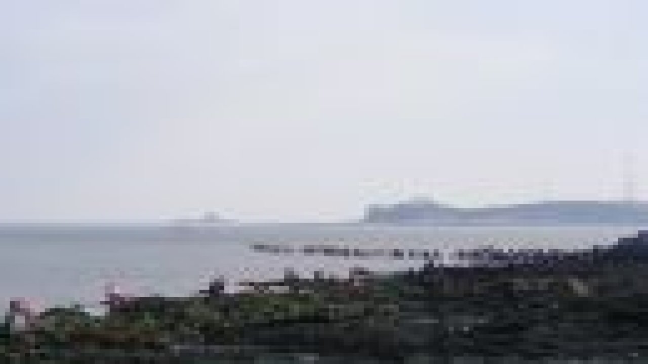 Hz. Musa Mucizesi gerçek oldu