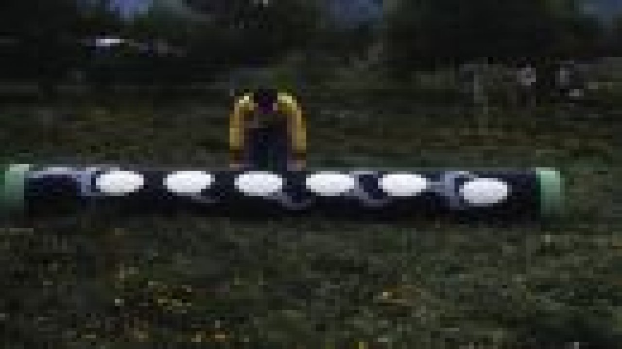 Jobs'un 30 yıllık hazinesini buldular