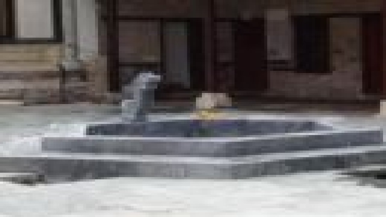 Mevlana Müzesi'nde havuz skandalı