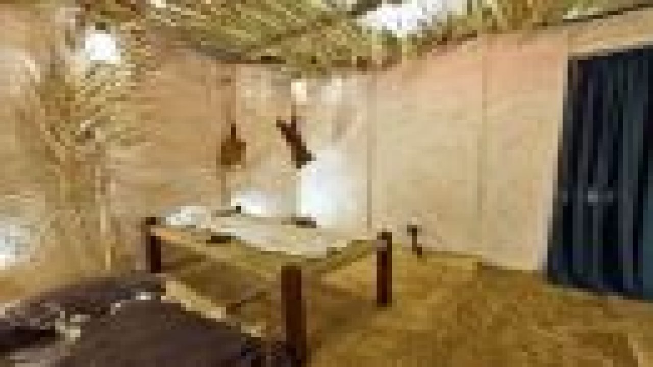 İşte Hazreti Muhammed'in evi