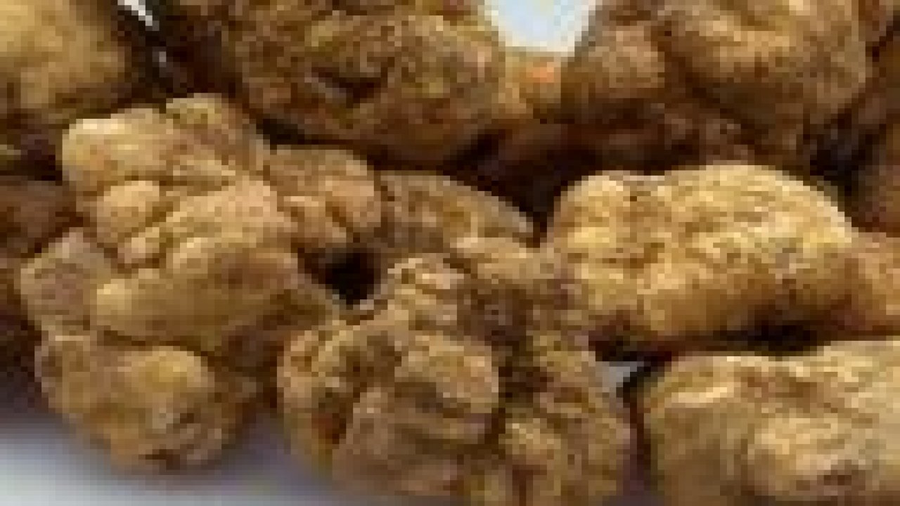 Doğadaki mucize Domalan mantarı