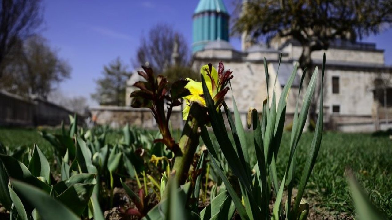 Konya'da bahar bir başka güzel