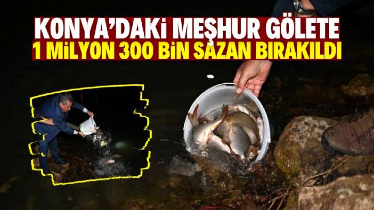Konya'daki meşhur parkta yer alan gölete 1 milyon 300 bin sazan bırakıldı