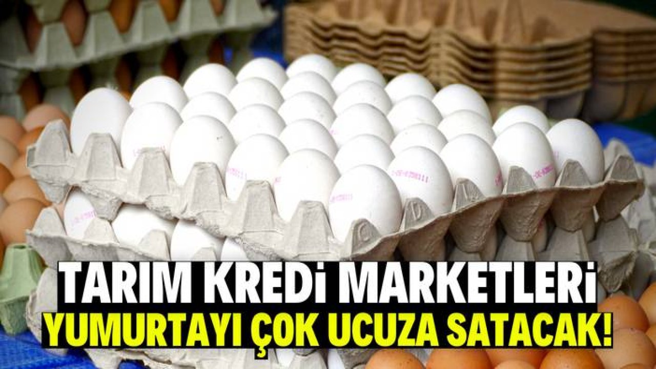 Tarım Kredi hafta sonuna özel indirim yaptı! Yumurta çok ucuza satılacak