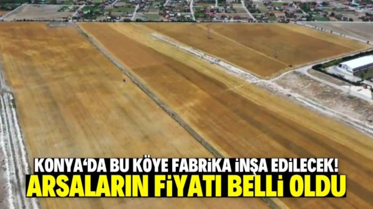 Konya'da bu köyde bazı alanlar sanayi imarına açıldı! Fabrika inşa edilecek