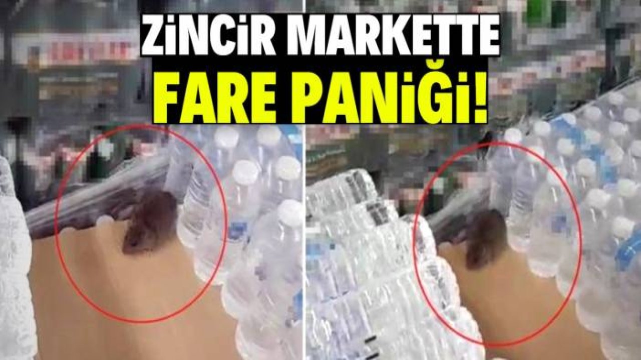 Zincir marketin reyonunda fare paniği! 10 binden fazla şubesi var