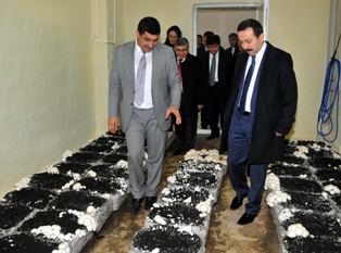 SÜ, Konya'nın mantar arşivini oluşturuyorlar