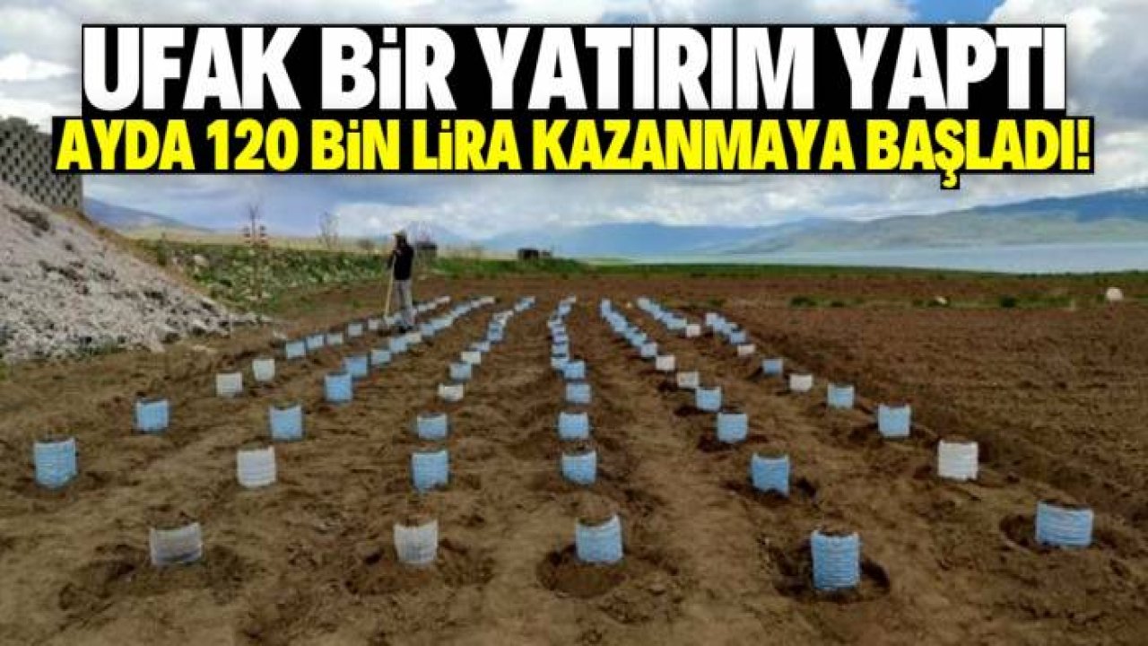 Ufak bir yatırımla ayda 120 bin lira kazanmak mümkün! İşte yöntemi
