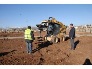 Eğriçayı Parkı’na Fidan Dikiliyor