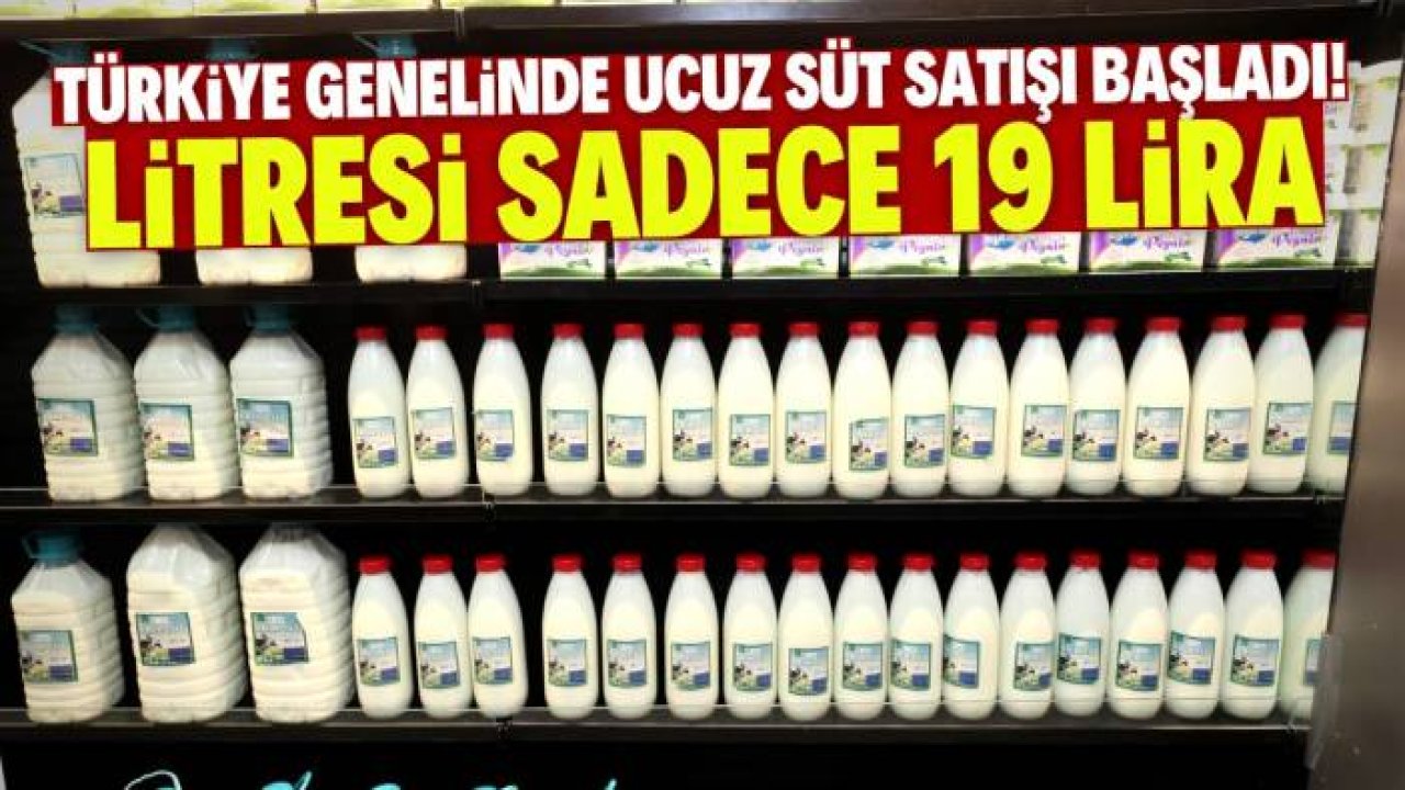 Türkiye genelinde ucuz süt satışı başladı! Litresi sadece 19 lira