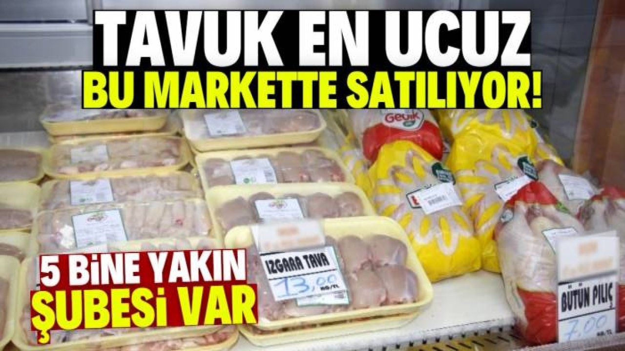 Tavuk en ucuz bu markette satılıyor! Fiyat farkı 70 TL