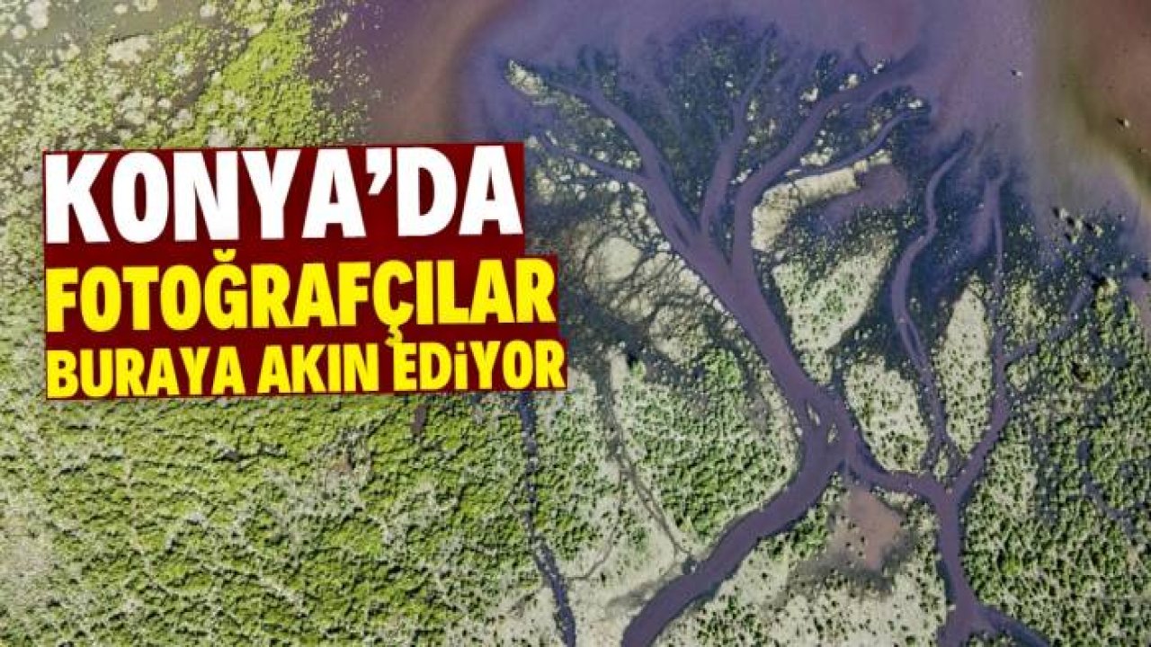 Konya'da suyun akışıyla çok farklı bir görüntü ortaya çıktı! Fotoğrafçılar buraya akın ediyor