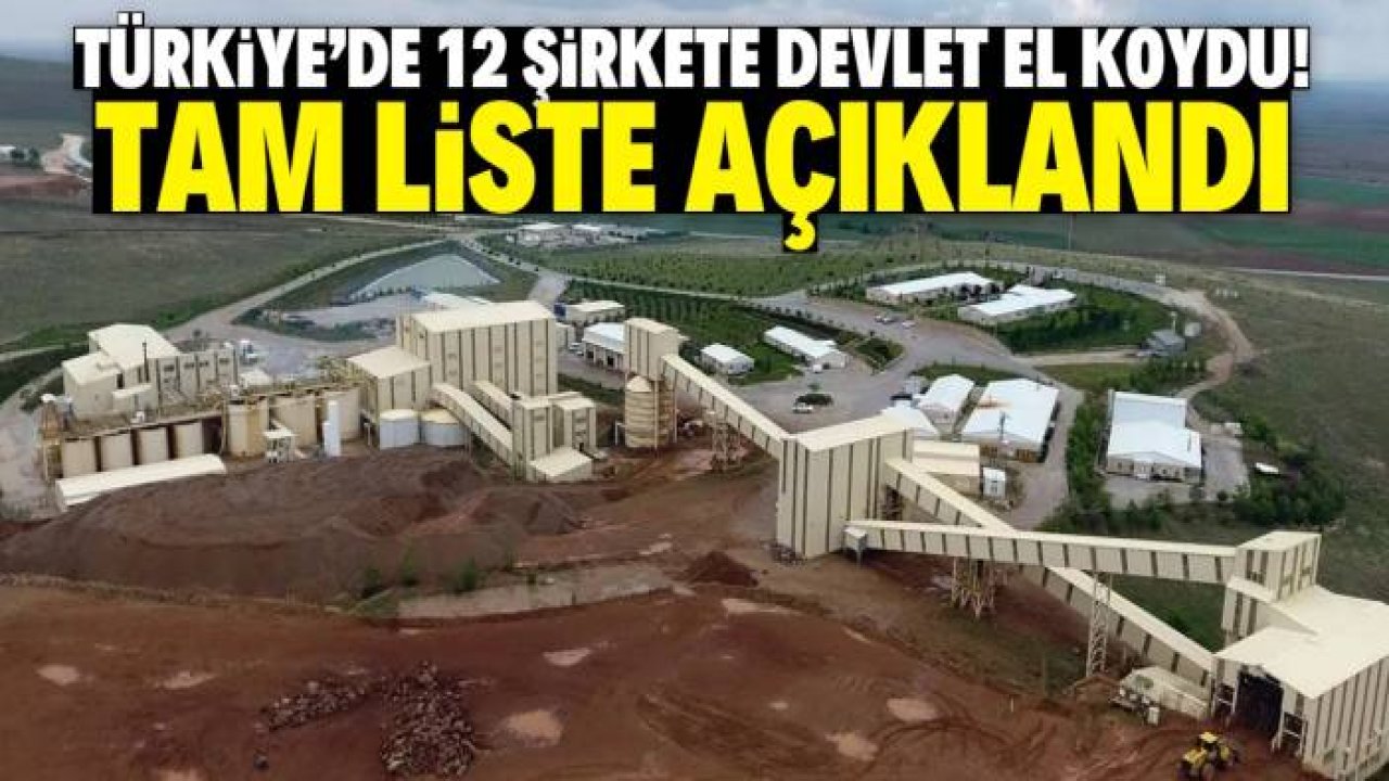 Türkiye'de 12 meşhur şirkete devlet el koydu! Tam liste açıklandı