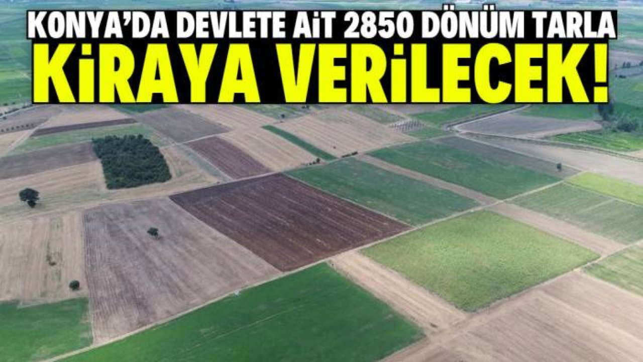 Konya'da devlete ait 2850 dönüm tarla kiraya verilecek! Fiyat belli oldu