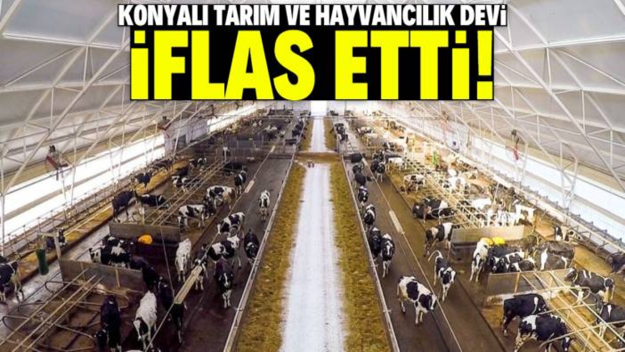 Konyalı tarım ve hayvancılık devi iflas etti! Alacaklılara çağrı yapıldı