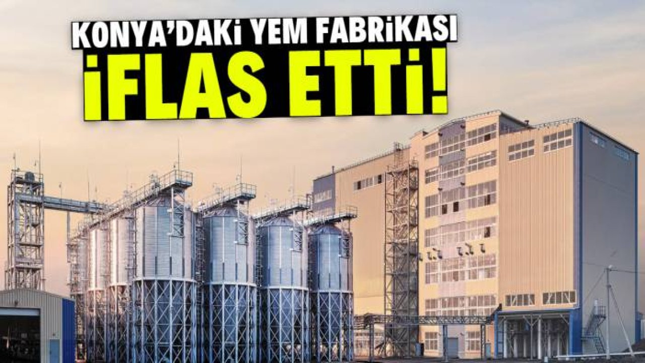 Kısa süre önce konkordato ilan etmişti! Konyalı yem devi iflas etti