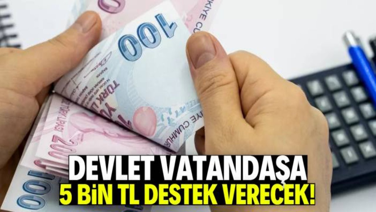 Devlet vatandaşa 5 bin TL destek verecek! İşte o şart