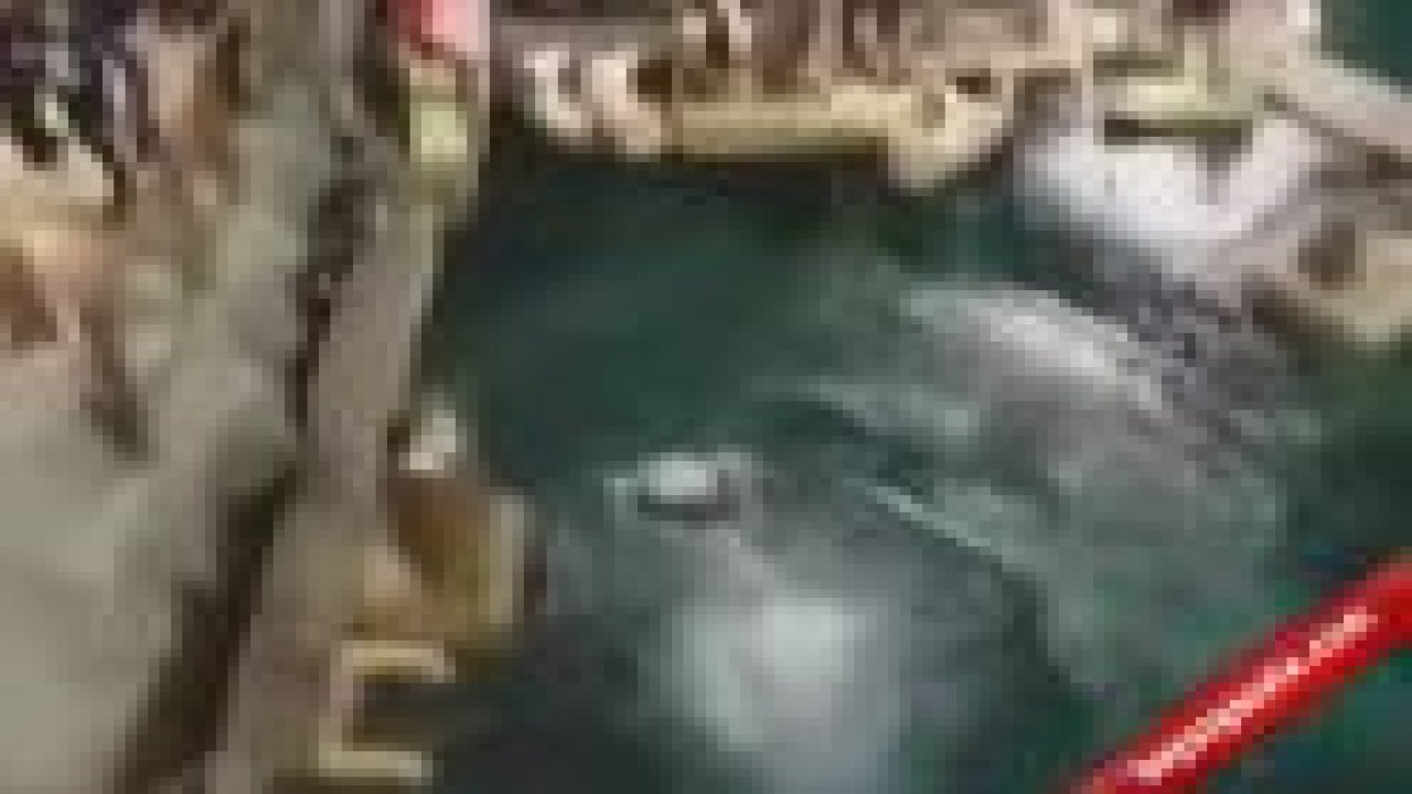 Havuza Böyle Atladı