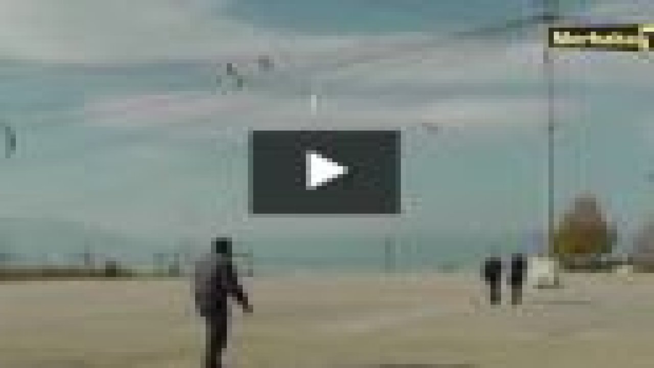 Kuşların dostu simitçi