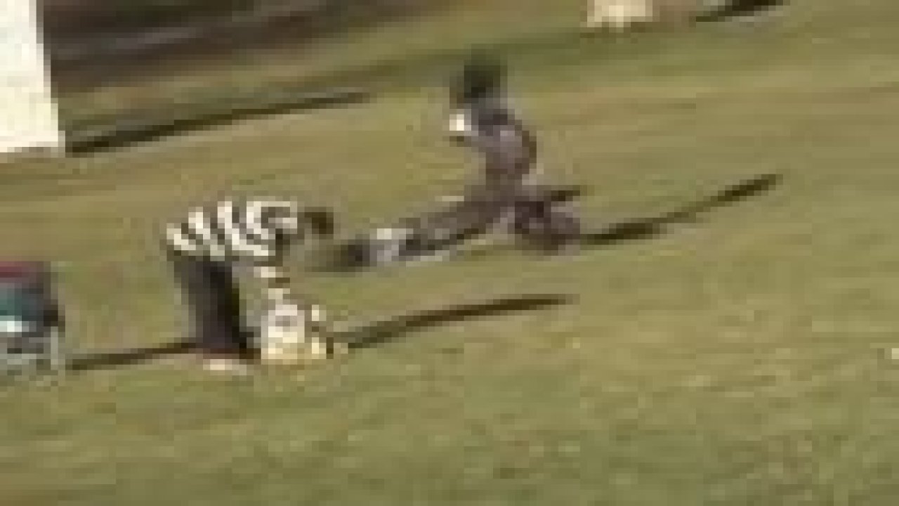 Parktaki dehşet anı saniye saniye kamerada