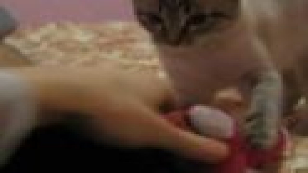 Kedi atılan oyuncağı geri getiriyor!