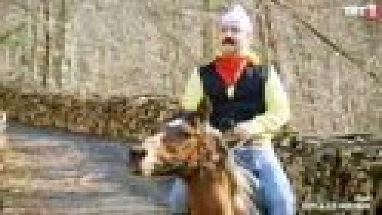 Erdal Bakkal İngilizcesi