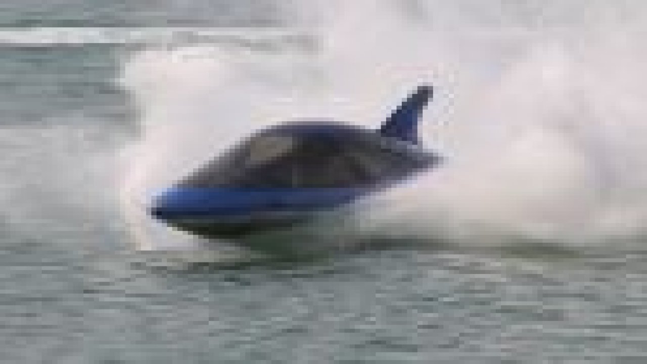 Bu köpekbalığı ısırmıyor!