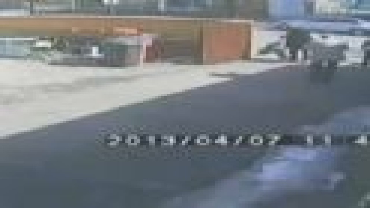 Pitbull 'kedi'yi böyle parçaladı!