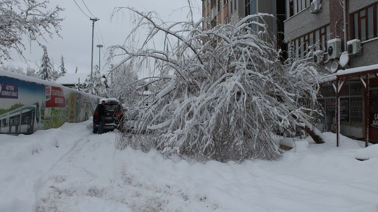 Kar ağaçları devirdi, saçaklar tehlike saçıyor