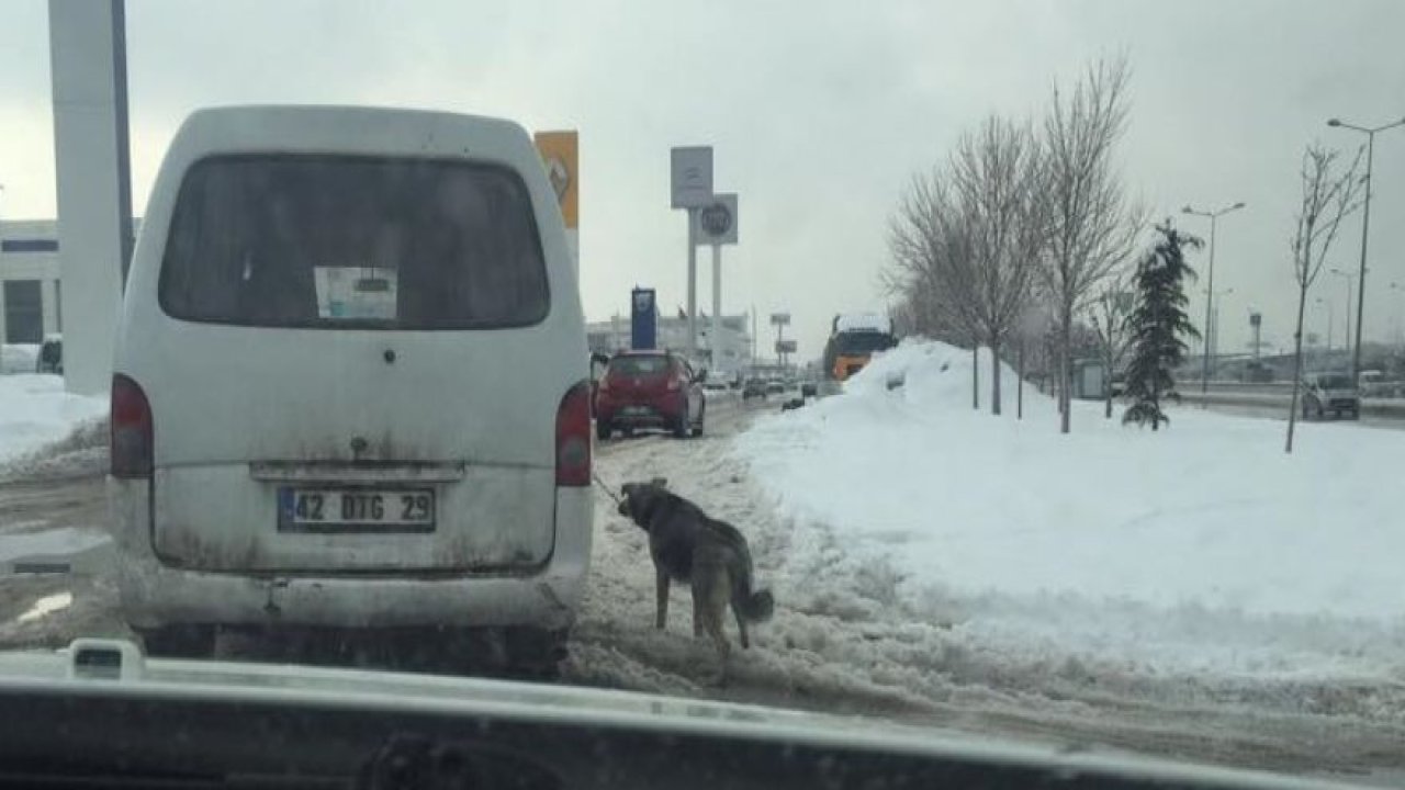 Köpeği minibüse bağlayıp sürükledi!