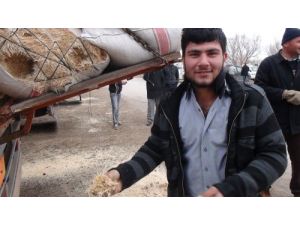'Kuraklık Saman Fiyatlarını Uçuracak' Endişesi