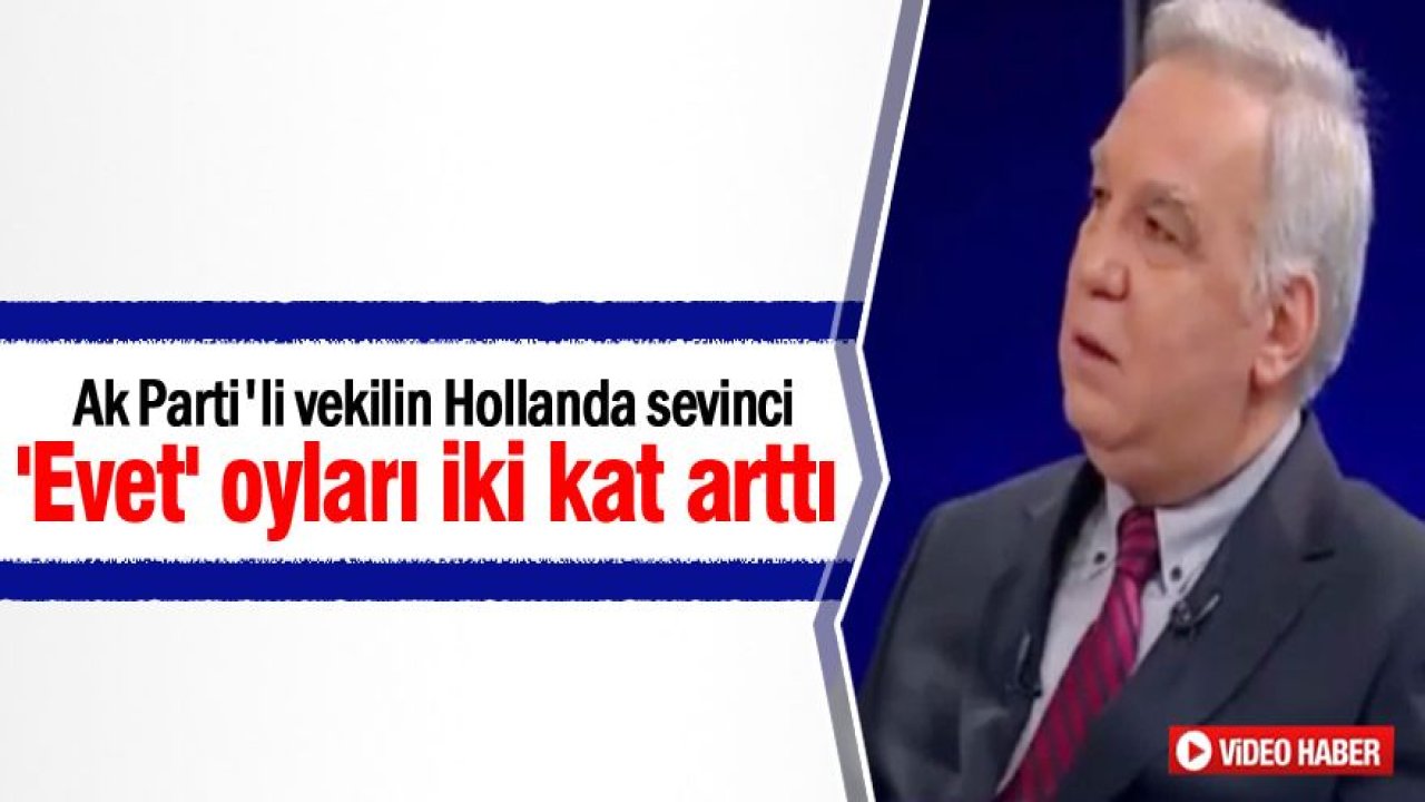 Ak Parti'li vekilin Hollanda sevinci: 'Evet' oyları iki kat arttı