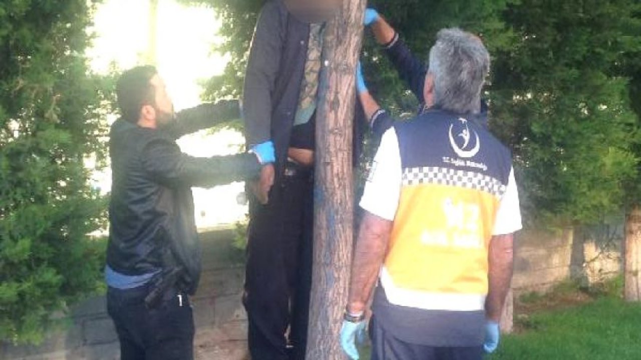 Kendini Ağaca Asarak İntihar Etti