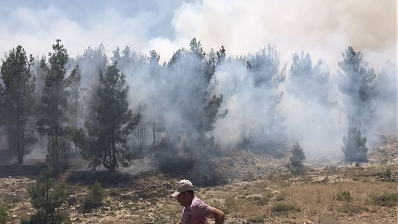 Dutlıkırı mesire alanında yangın çıktı