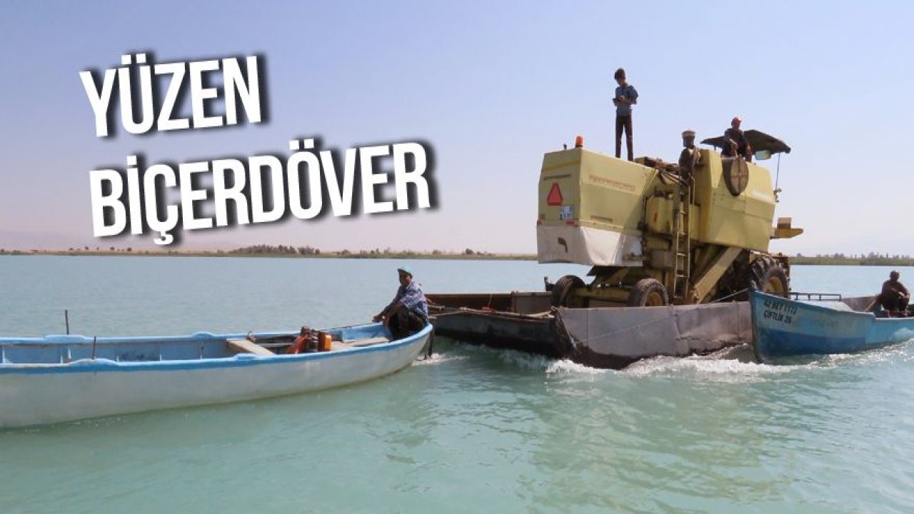 Biçerdöver, Beyşehir Gölü’ndeki adaya yüzdürülerek götürüldü