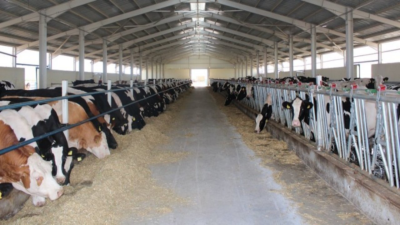 TKDK'nin başvuru şampiyonu Konya