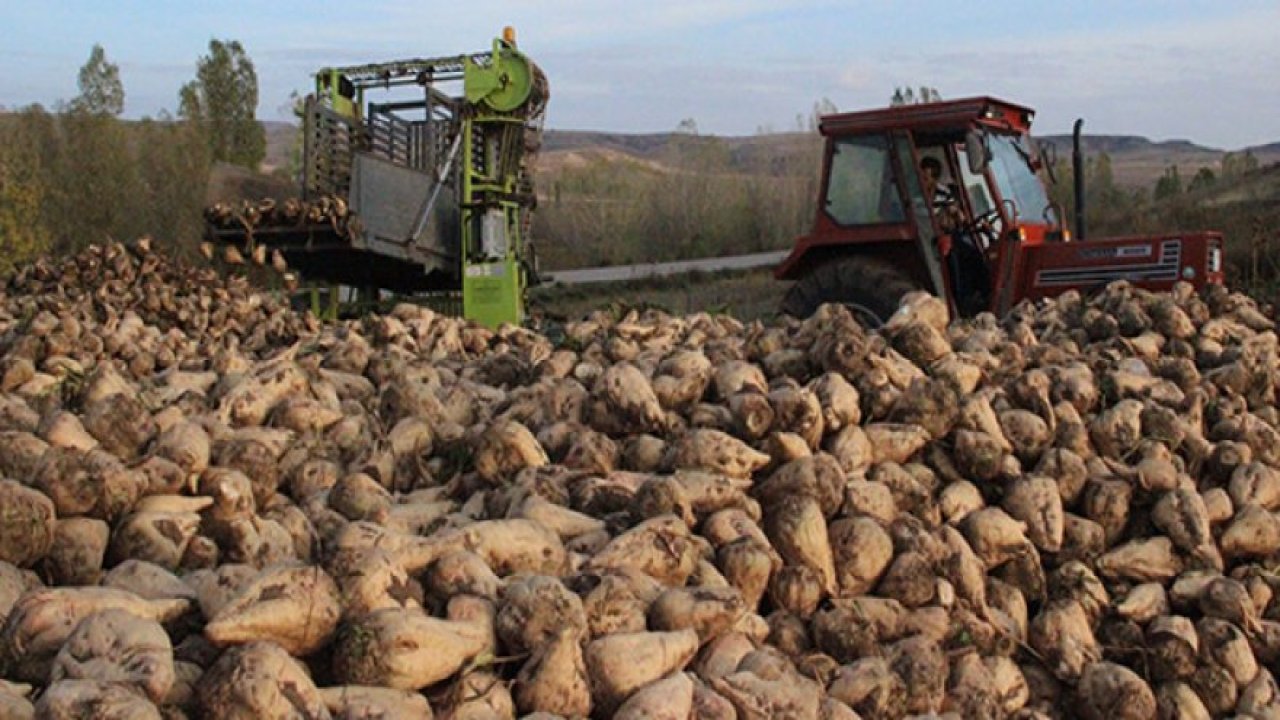 Şeker Pancarı Üreticisi Hasattan Memnun