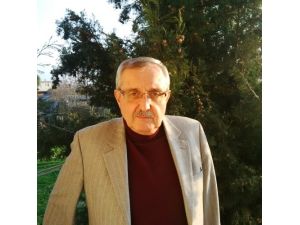 Domates Üreticisi Yeni Sezondan Ümitli