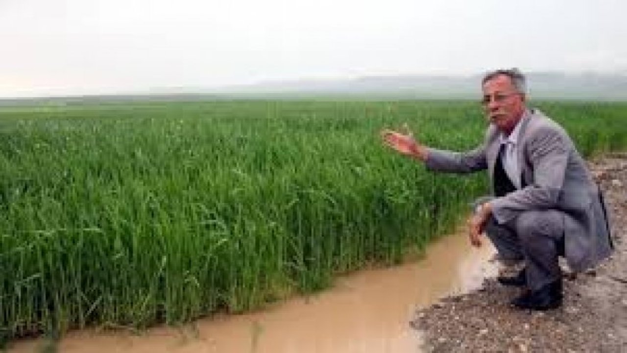 Konya'da ekili alanları sel aldı