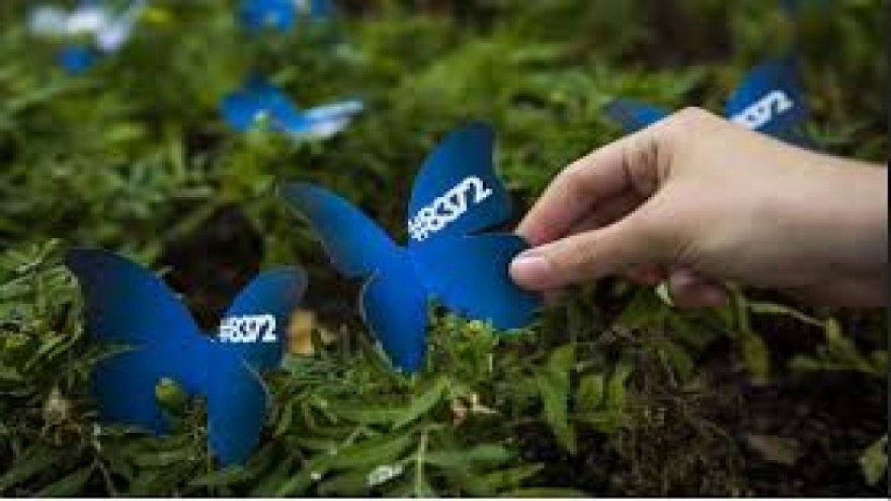 Mavi Kelebek ne anlama geliyor?